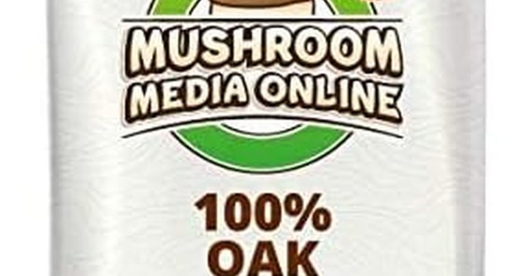 Best Wood For Oyster Mushrooms: Grow Like a Pro