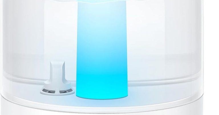 Best Humidifier For Mushrooms: Precision Moisture Control