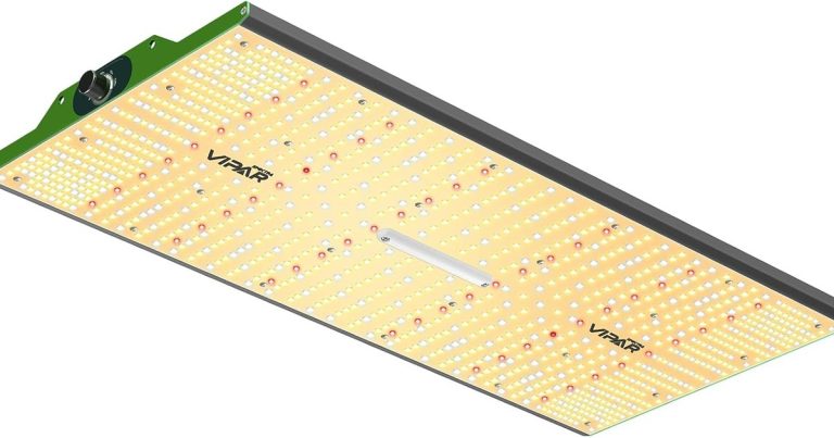 Best Grow Lights For Vegetables: Strong Light, Real Growth