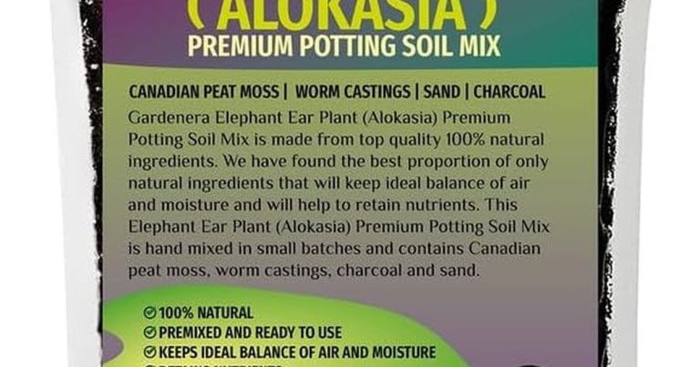 Best Soil For Elephant Ears: Rich, Breathable Mixes That Prevent Root Rot