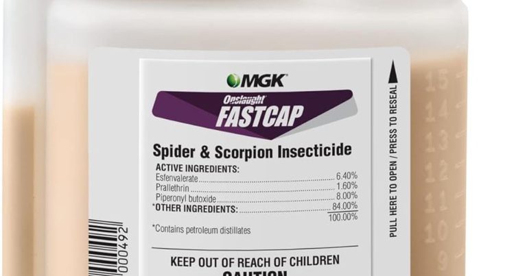 Best Insecticide For Scorpions: Stop Them Dead