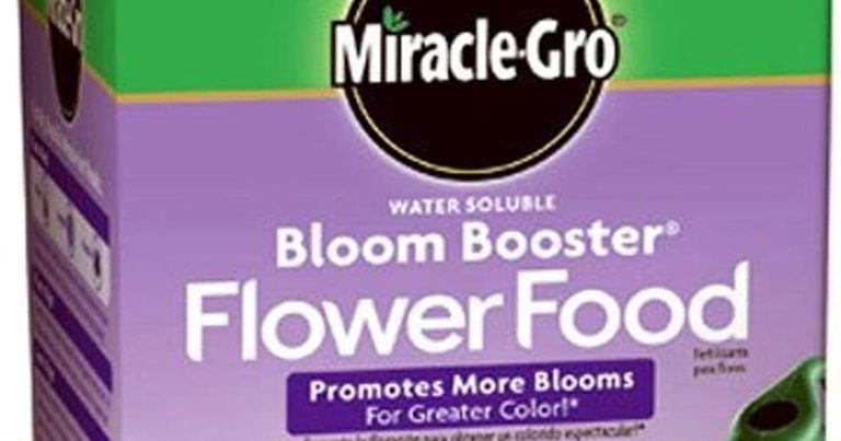 Best Fertilizer For Blooms: More Flowers, Less Guesswork