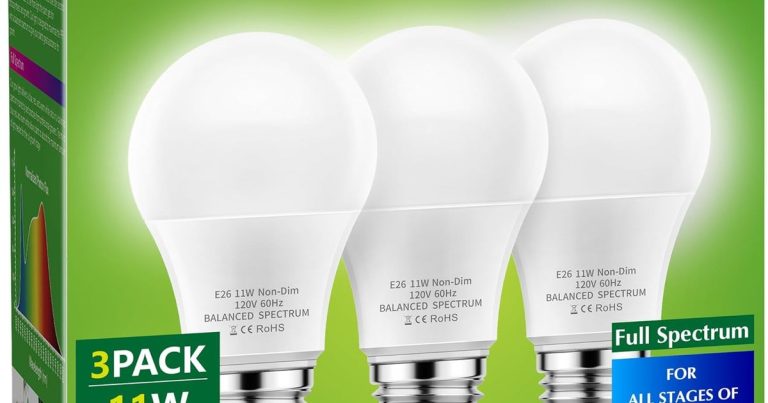 Best Bulbs For Indoor Plants: Grow Thriving Greenery