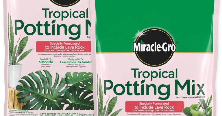 Best Soil Mixture For Monstera: Chunky Roots Breathe