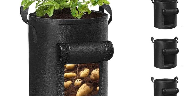 Best Grow Bags For Sweet Potatoes: Room to Grow