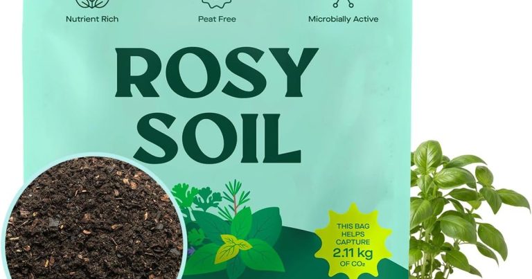 Best Potting Mix For Basil: Grow Thriving Herbs