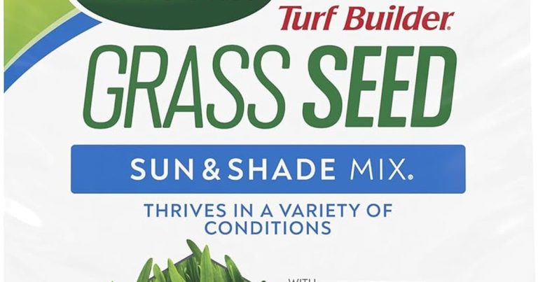 Best Grass For Dry Climates: Thrive With Less
