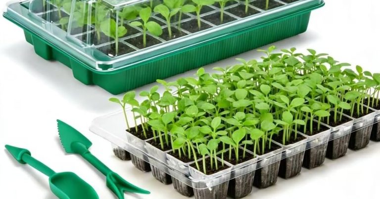 Best Mini Greenhouse For Seed Starting: Boost Germination Success