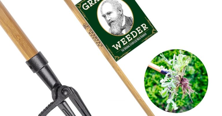 Best Tool For Pulling Weeds: Stand Up, Strain Less