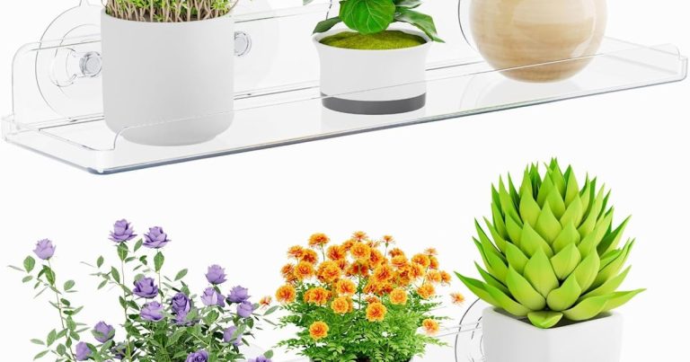 Best Window Direction For Plants: Light Secrets Unlocked
