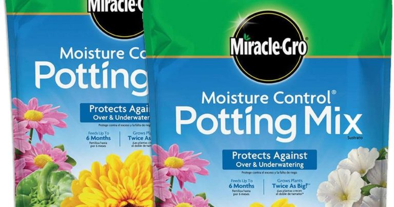 Best Potting Mix For Tomatoes: Grow Juicy, Flavorful Tomatoes