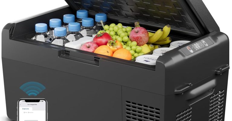 Best Electric Coolers For Camping: No More Melted Ice