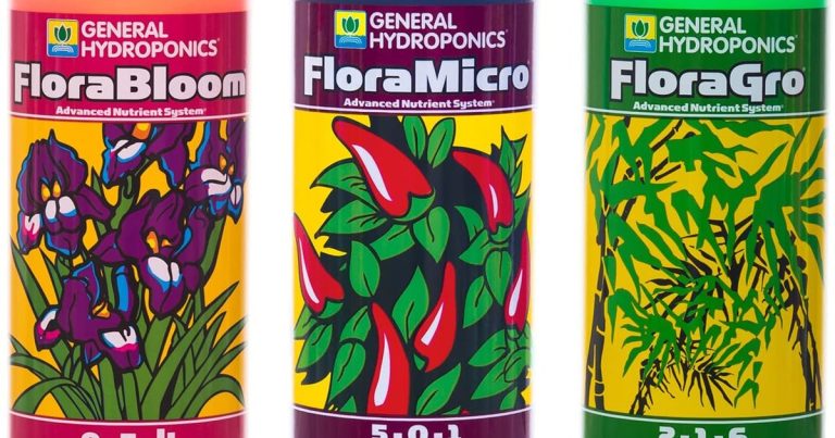 Best Hydroponic System For Cannabis: Maximize Yield Control