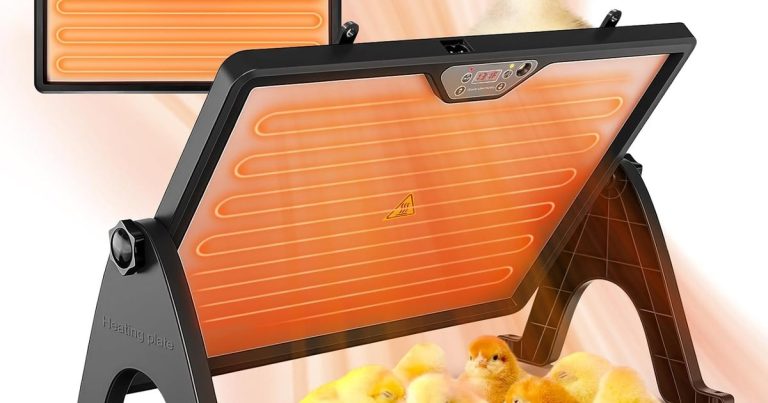 Best Heater For Chicken Coop: Frostbite Prevention Made Simple
