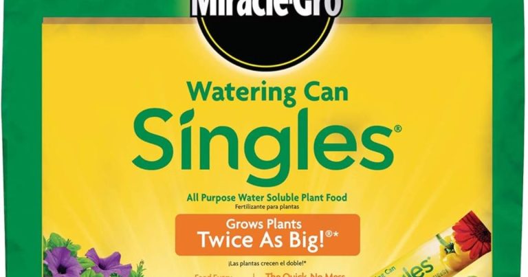 Best Fertilizer For Plants Growing In Water: Clear Jars, Strong Roots
