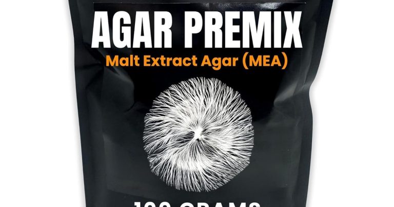 Best Agar For Mushrooms: Clean Cultures Every Time