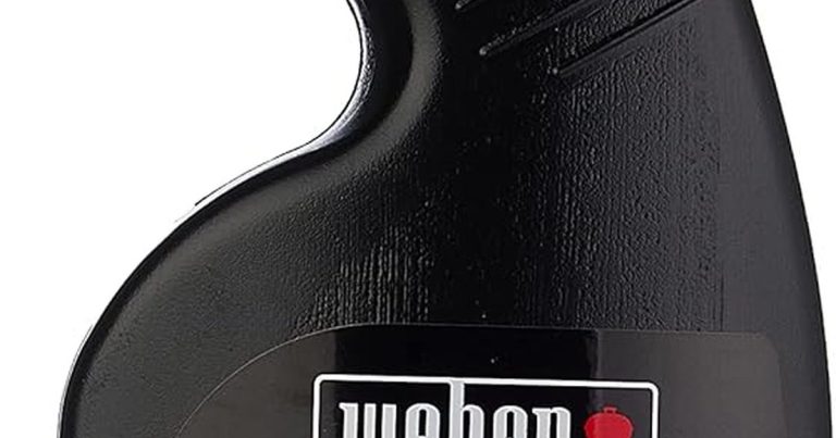 Best Grill Brush For Porcelain Coated Cast Iron Grates: Protect Your Investment