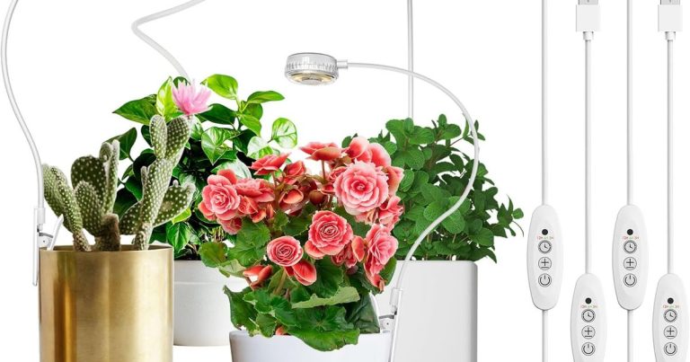 Best Grow Lights For Pot: Maximize Bud Density