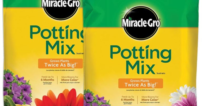 Best Soil For Vegetable Container Gardening: Grow Thriving Veggies in Pots