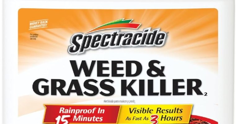 Best Weed Spray For Flower Beds: Reclaim Your Blooms