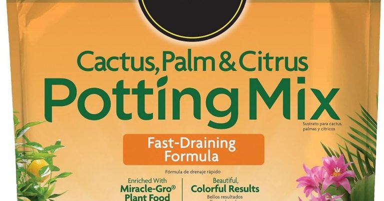 Best Potting Mix For Palms: Healthy Roots, Happy Fronds