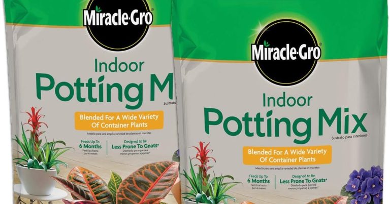 Best Potting Mix For Tropical Plants: Lush Roots, Happy Leaves