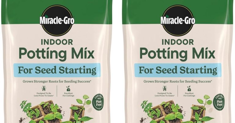 Best Potting Soil For Fruits And Vegetables: Grow Tastier Harvests