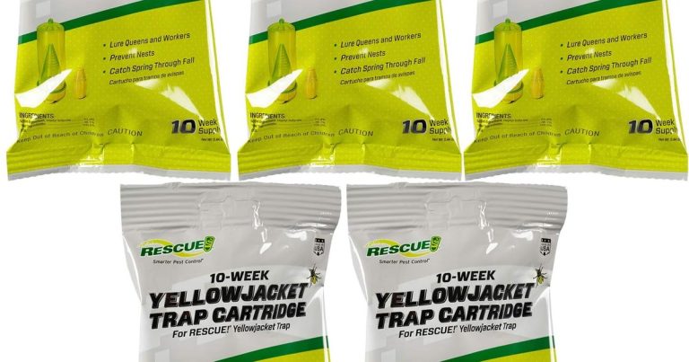 Best Bait For Wasp And Hornet Traps: Stop the Sting