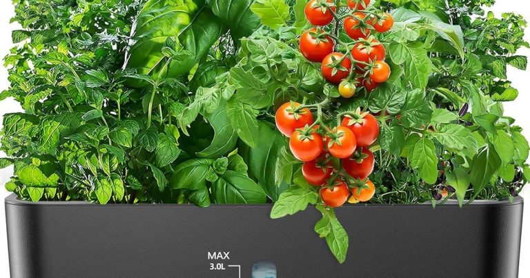 Best Hydroponic System For Grow Tent: Maximize Yield, Minimize Mess