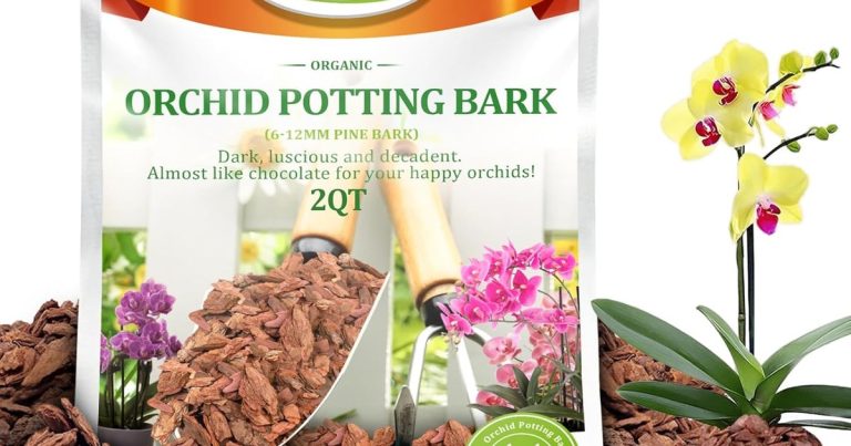 Best Mulch For Indoor Plants: Clean, Moist Soil