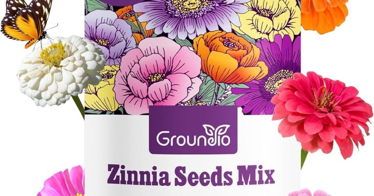 Best Annual For Full Sun: Vibrant, Heat-Loving Blooms That Thrive