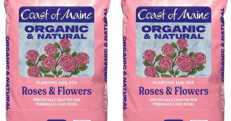 Best Mulch For Roses: Thriving Blooms Year-Round