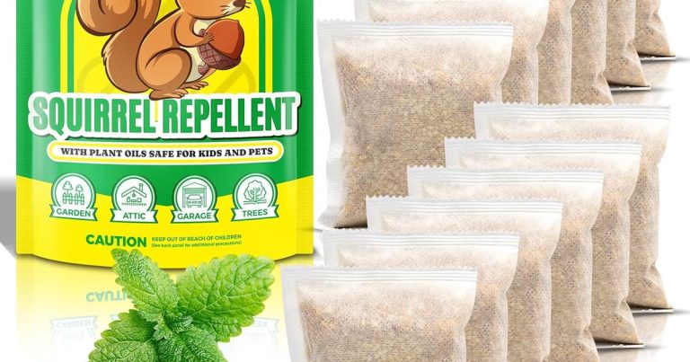 Best Squirrel Repellent For Garden: Stop the Damage
