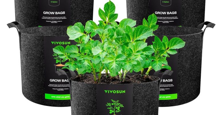 Best Material For Plant Pots: Root Health First
