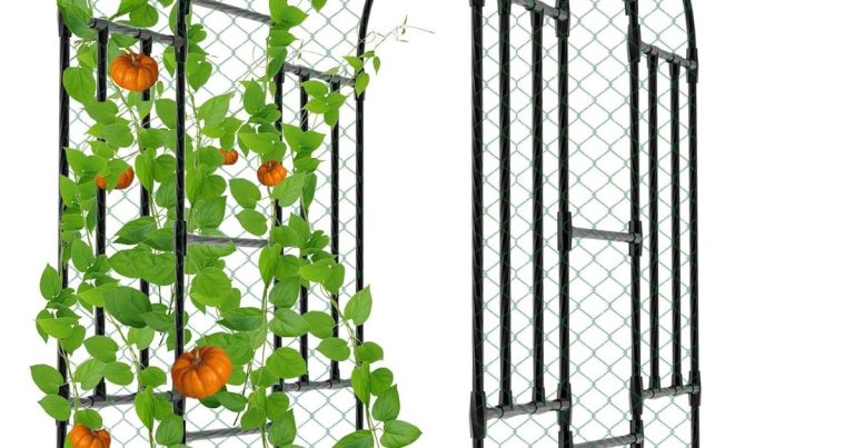 Best Trellis For Grapes: Sturdy Support That Lasts