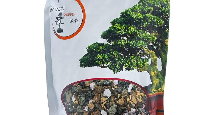 Best Soil For Bonsai Seeds: Germination Success