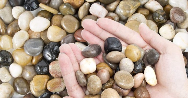 Best Gravel For Flower Beds: Weed Control & Drainage