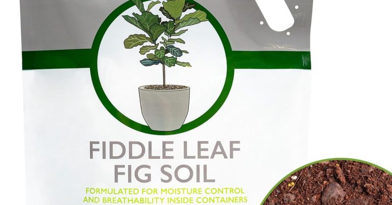 Best Mulch For Fig Trees: Retain Moisture, Boost Growth