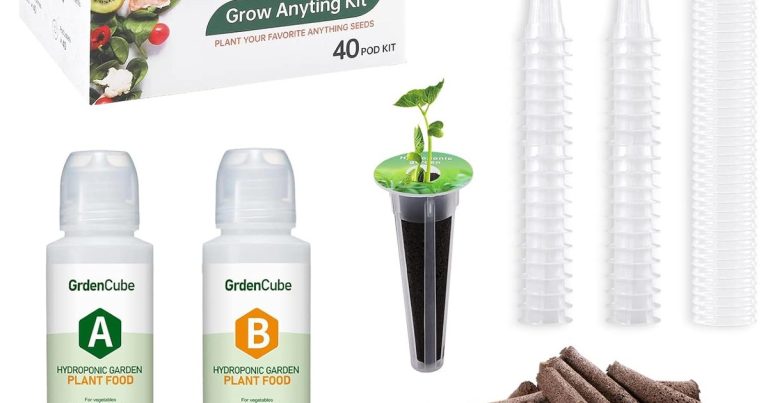 Best Vegetables For Aerogarden: Fresh Harvest Guaranteed