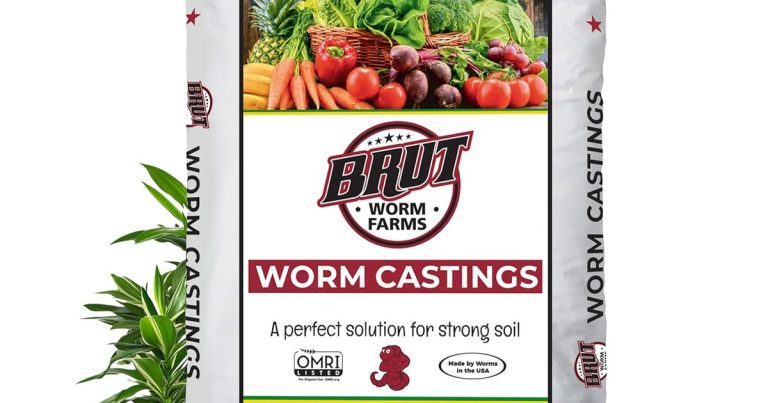 Best Dirt For Raised Beds: Rich, Light, Ready