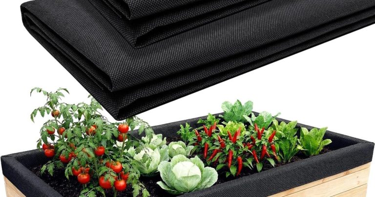 Best Liner For Raised Garden Bed: Stop Gophers & Weeds
