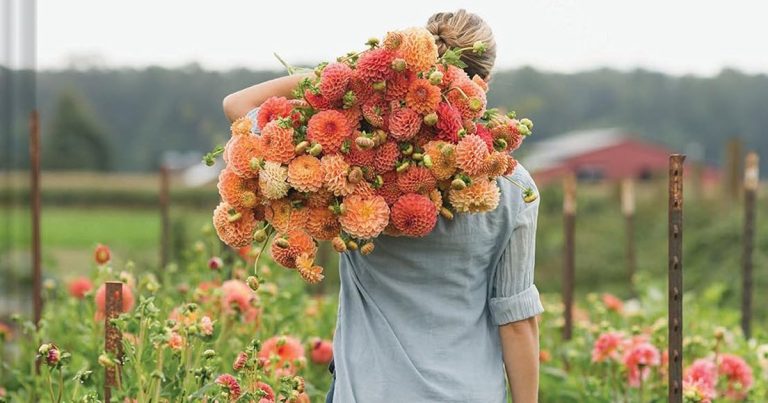 Best Flowers For A Garden: Thrive with Little Effort
