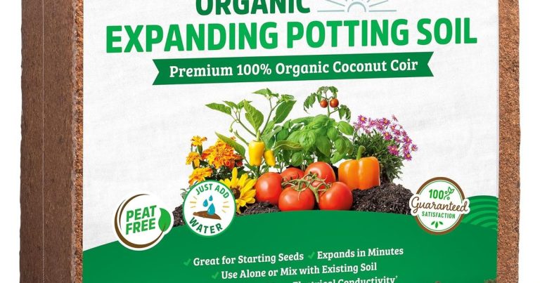 Best Soil For Large Planters: Grow Thriving Plants