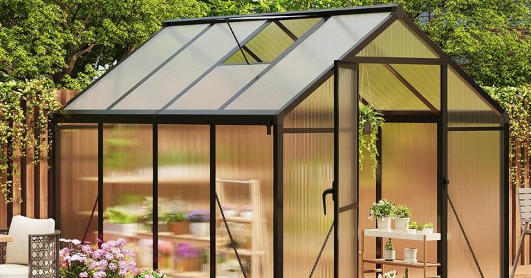 Best Greenhouses For Winter: Grow All Year