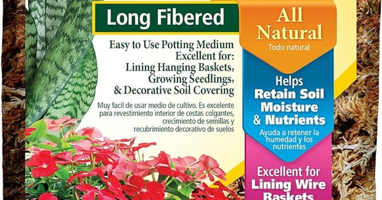 Best Moss For Potted Plants: Lush, Healthy Growth