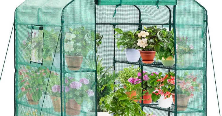 Best Outdoor Greenhouse For Winter: Survive Harsh Cold