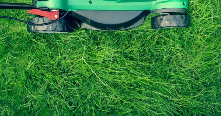 How to Make a Fast Lawn Mower: Engine Mods Decoded