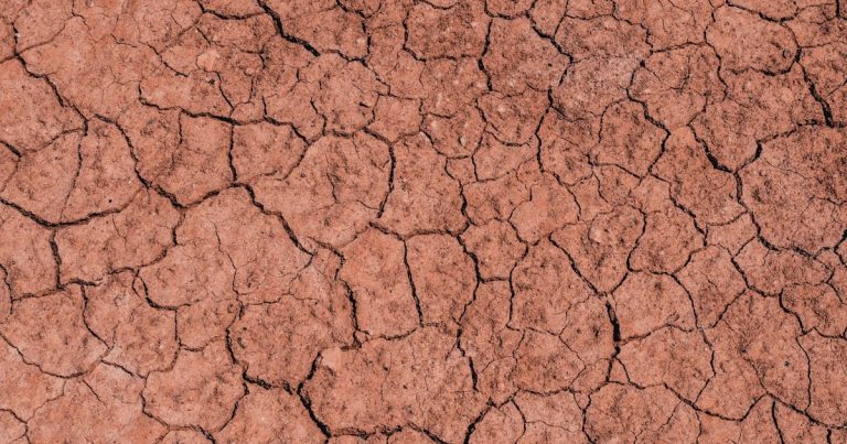 How to Drain Clay Soil Lawn: Fix Pooling Water Fast