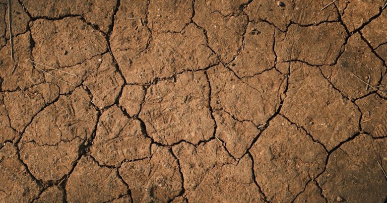 How to Grow a Lawn on Clay Soil: Break the Compaction Cycle