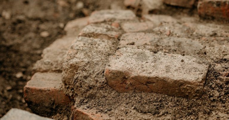 How to Lay a Lawn on Clay Soil: Beat the Mud Trap